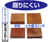 advantage_dai02