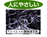 advantage_dai04